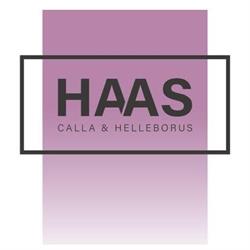 Haas Calla & Helleborus BV, De Lier openingstijden