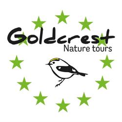 Goldcrest Nature Tours, Heenvliet openingstijden