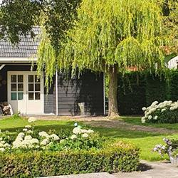 B&B Op de Vazze, Lewedorp openingstijden