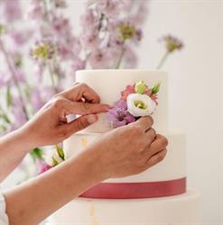 Amannie's taarten, Heerhugowaard openingstijden