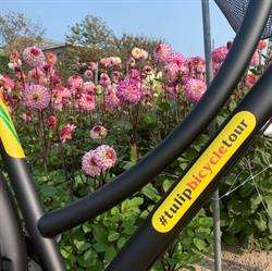 Tulipbicycletour.com, Lisse openingstijden