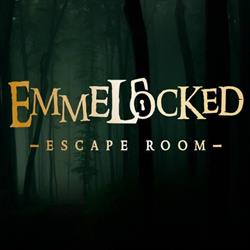 Emmelocked Escape Room, Emmeloord openingstijden