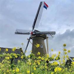 De Eersteling, Hoofddorp openingstijden