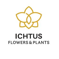 Ichtus Flowers & Plants, Waddinxveen openingstijden