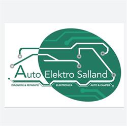 Auto Elektro Salland, Lettele openingstijden