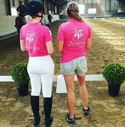 Tamara Bulham & paardensportcentrum zilverstad, Schoonhoven openingstijden