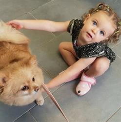 Trimsalon De Doggyrette, Ouderkerk aan den IJssel openingstijden