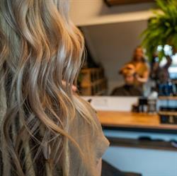 House of Handsome, Woudenberg openingstijden