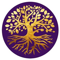 Mudita Yoga, Eindhoven openingstijden