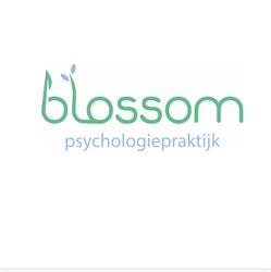 Psychologiepraktijk Blossom, Noordwijkerhout openingstijden