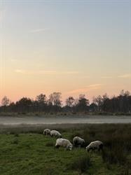 Restaurant Wollegras, Weiteveen openingstijden