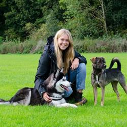 Hondenuitlaatservice Door Lisa, Aalsmeer openingstijden