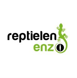 Reptielen-enzo, Wouw openingstijden