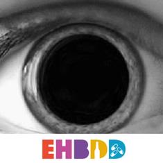 EHBDD B.V., Didam openingstijden