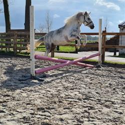 Pony Plezier, Spijk openingstijden
