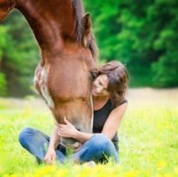Sandra Coachen Met Paarden, Hengelo openingstijden