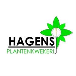 Plantenkwekerij Hagens, Oudenbosch openingstijden