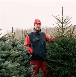 echtekerstbomen.nl, Tiendeveen openingstijden