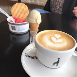 De IJssalon Rockanje, openingstijden