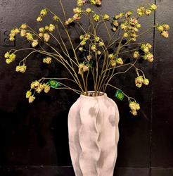 Jes bloemen, Slagharen openingstijden