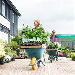 Tuinplantwinkel Nunspeet, openingstijden