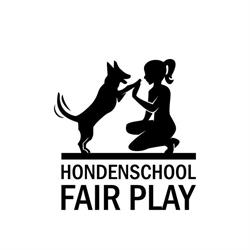 Hondenschool Fair Play, Didam openingstijden