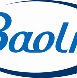 Baoli Nederland, Hendrik-Ido-Ambacht openingstijden