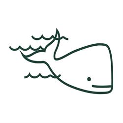 Brasserie de Walvis, Zoutelande openingstijden