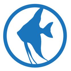 Aquariumvissenwinkel, Beilen openingstijden
