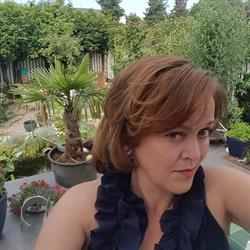 Anneke van den Hombergh Glaskunst, Venlo openingstijden