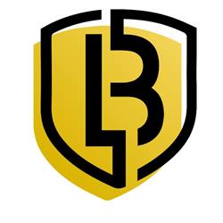 Loyaal Beveiliging B.V., Waddinxveen openingstijden