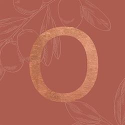 Gastrobar Olijf, Sittard openingstijden
