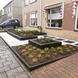 Tenhoveniers boom- en tuinonderhoud, Rijssen openingstijden