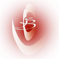 Be all you can Be - Voor een nieuw Perspectief, Haarlem openingstijden