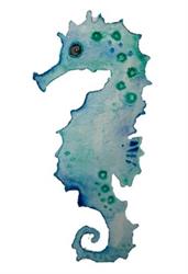 The Seahorse Home Decor, Egmond aan Zee openingstijden
