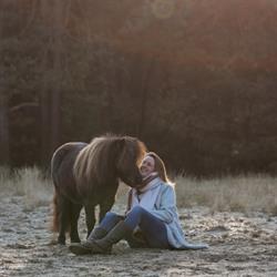 Equine Serenity Horsemanship and Coaching, Dwingeloo openingstijden