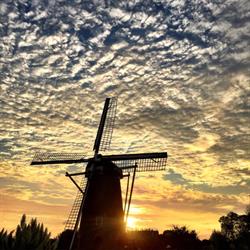 Korenmolen de Windvang te Goedereede, openingstijden