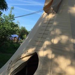Ecostay De Wilderis, Wilp openingstijden