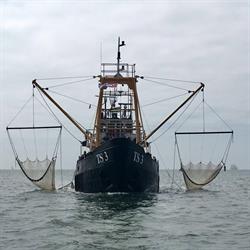 Garnalenvissen én gratis naar de zeehonden met de TS3 - Viking, West-Terschelling openingstijden