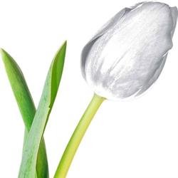 Fysiotherapie Nagele, openingstijden