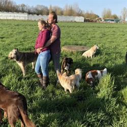 The Dogwalker, Aarlanderveen openingstijden