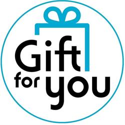 GiftForYou B.V., Haarlem openingstijden