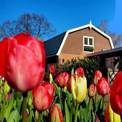 B&B de Hoffstal, Sassenheim openingstijden