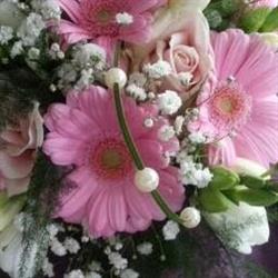 Flowers by Monica, Westzaan openingstijden