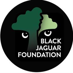 Stichting Black Jaguar Foundation, Amsterdam openingstijden