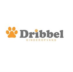 Dribbel Kinderopvang, Saasveld openingstijden