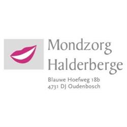 Mondzorg Halderberge B. van Breukelen, Oudenbosch openingstijden