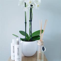 Elleganza Beautycare Schoonheidssalon, Vianen openingstijden