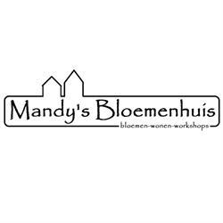 Mandy's Bloemenhuis, Deurne openingstijden
