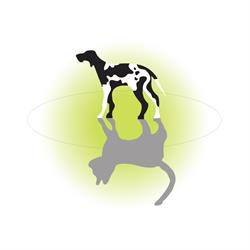 Dierenartsenpraktijk Groesbeek, Beek, Malden, Millingen a/d Rijn, Milsbeek, Millingen aan de Rijn openingstijden